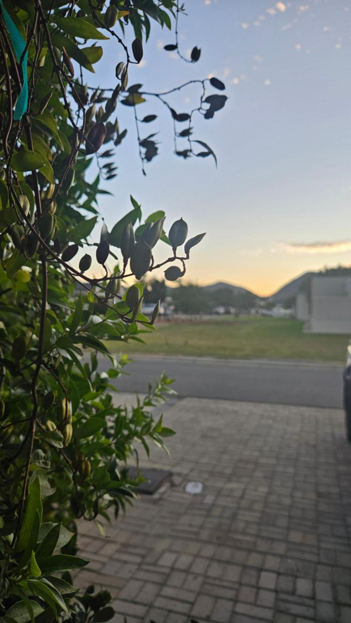 Lily'S Rest, Village On Silwerstrand, Robertson Exteriör bild